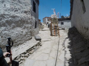 Picture of Upper Mustang